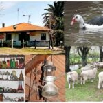 “Almacén Ridruejo”, protector del patrimonio rural paceño