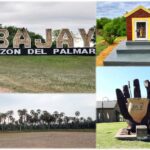 Plácida tierra de palmeras.